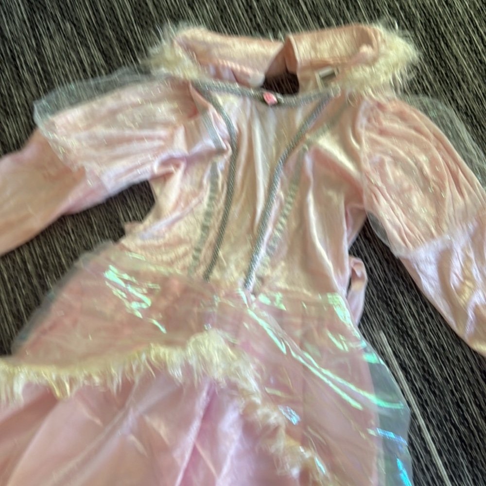 Pink Princess Kids Costume (size 10-12) - Picture 2 of 12